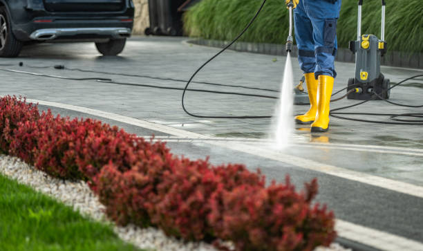 Best Residential Pressure Washing Services  in Royal Palm Estates, FL