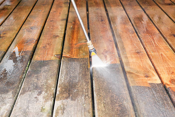 Best Concrete Pressure Washing  in Royal Palm Estates, FL