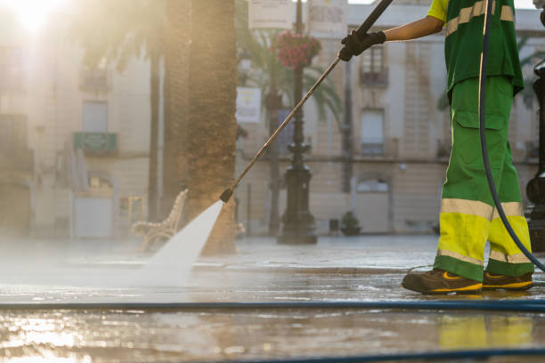 Best Roof Power Washing Services  in Royal Palm Estates, FL