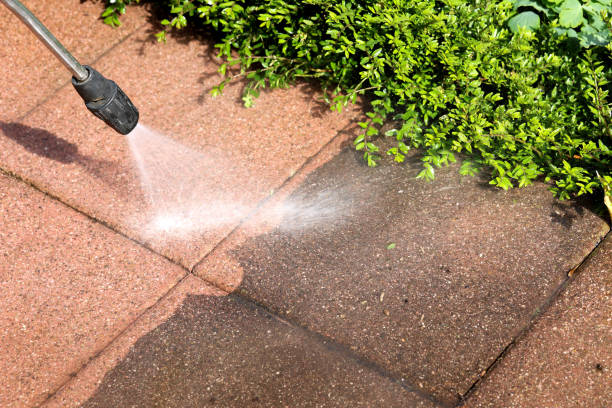 Best House Pressure Washing  in Royal Palm Estates, FL